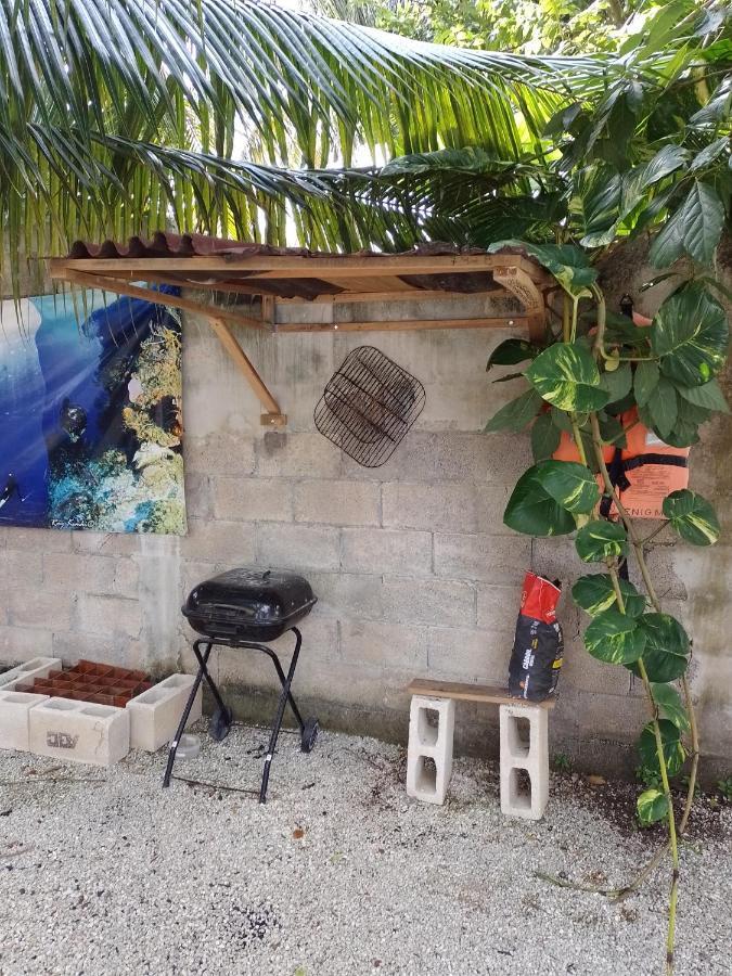Blue Magic Hostel Cozumel Exterior photo