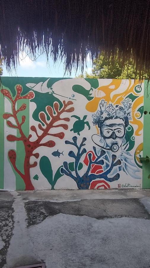 Blue Magic Hostel Cozumel Exterior photo