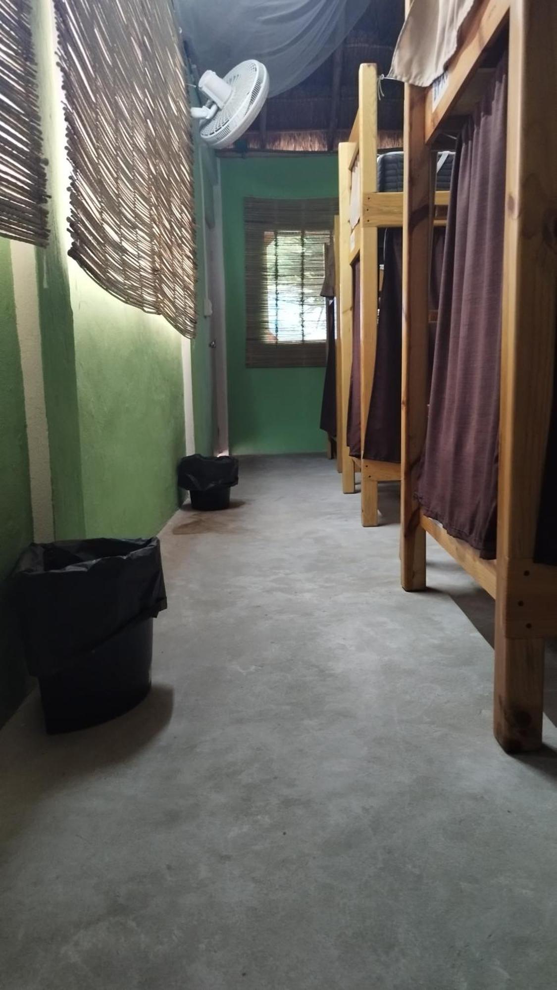 Blue Magic Hostel Cozumel Exterior photo