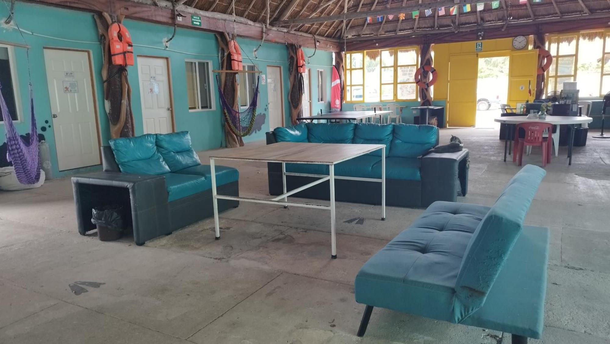 Blue Magic Hostel Cozumel Exterior photo